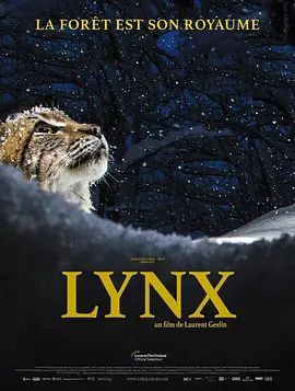 猞猁