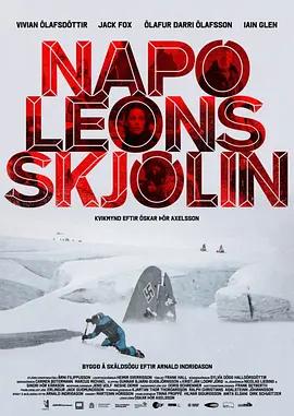 Napóleonsskjölin