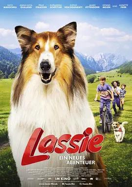 灵犬莱西：新冒险