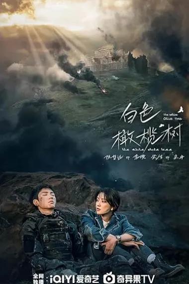 白色橄榄树