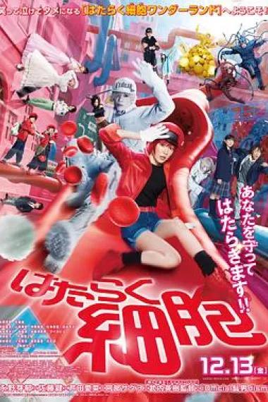 工作细胞 真人版