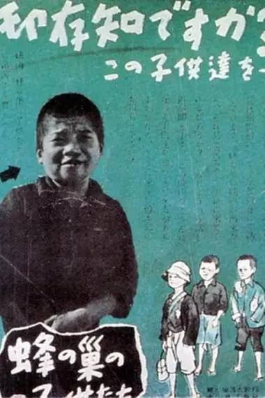 蜂巢的孩子们