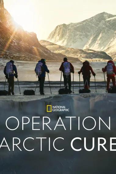 Operation Arctic Cure