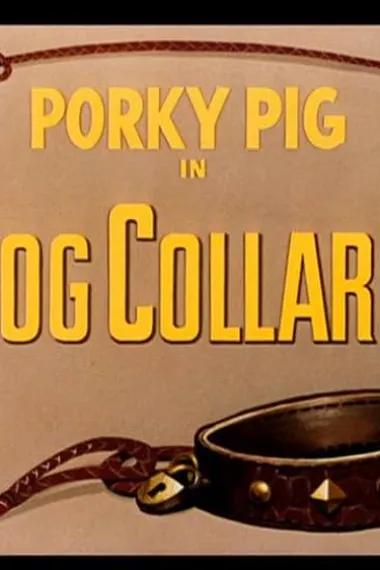 Dog Collared