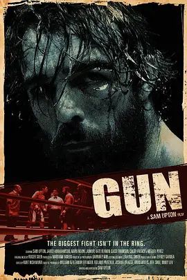 12 Round Gun