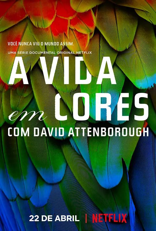 [4K纪录片] 生命之色 Life In Colour (2021) / 大卫·艾登堡：自然本色 / Life in Color with David Attenborough / Attenboroughs.Life.in.Colour.S01.2160p.WEBRip.x265.10bit.HDR.HLG.AAC2.0