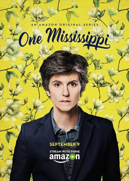 [4K剧集] 密西西比 第一季 One Mississippi Season 1 (2016) / One.Mississippi.S01.2160p.AMZN.WEB-DL.x265.10bit.HDR.DDP5.1