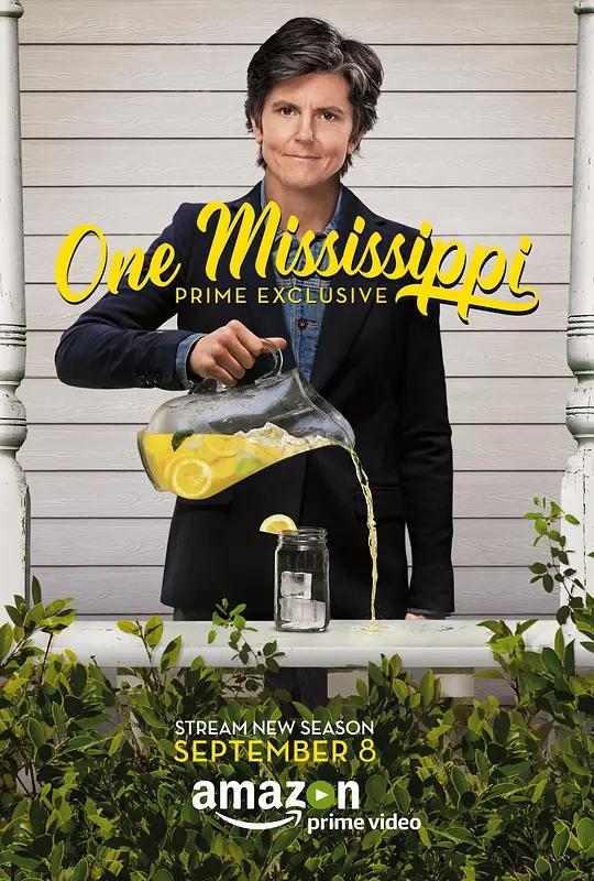 [4K剧集] 密西西比 第二季 One Mississippi Season 2 (2017) / One.Mississippi.S02.2160p.AMZN.WEB-DL.x265.10bit.HDR.DDP5.1