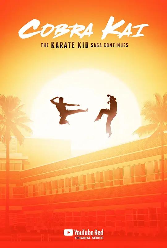 [4K剧集] 眼镜蛇 第一季 Cobra Kai Season 1 (2018) / Cobra.Kai.S01.2160p.NF.WEB-DL.x265.10bit.SDR.DDP5.1