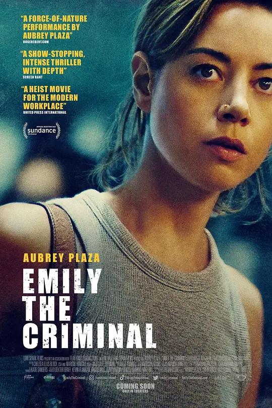罪犯艾米丽 Emily the Criminal (2022) / Emily.the.Criminal.2022.2160p.WEB-DL.x265.10bit.SDR.DDP5.1