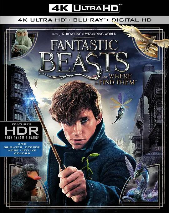 神奇动物在哪里 4K蓝光原盘下载 Fantastic Beasts and Where to Find Them (2016) / Fantastic.Beasts.and.Where.to.Find.Them.2016.2160p.BluRay.REMUX.HEVC.DTS-HD.MA.TrueHD.7.1.Atmos