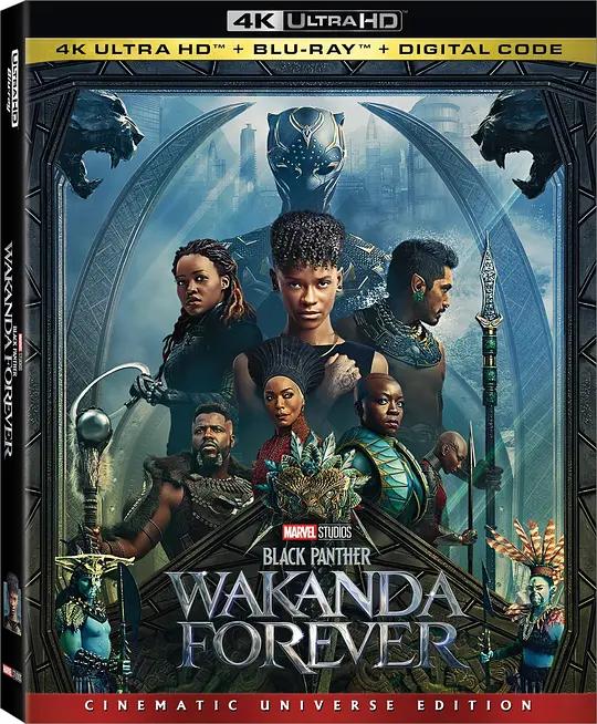 黑豹2 4K蓝光原盘下载 Black Panther: Wakanda Forever (2022) / 黑豹2：瓦干达万岁(港/台) / Black.Panther.Wakanda.Forever.2022.2160p.BluRay.REMUX.HEVC.DTS-HD.MA.TrueHD.7.1.Atmos