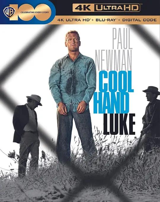 铁窗喋血 Cool Hand Luke (1967) / 逃狱金刚 / 冷手卢克 / Cool.Hand.Luke.1967.2160p.BluRay.REMUX.HEVC.DTS-HD.MA.2.0