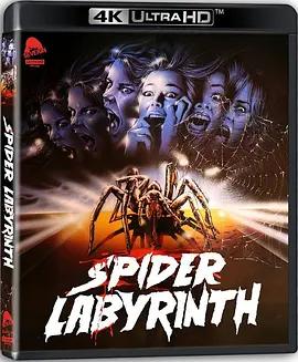蜘蛛迷宫 Il nido del ragno (1988) / The Spider Labyrinth / The.Spider.Labyrinth.1988.2160p.USA.UHD.Blu-ray.HEVC.DTS-HD.MA.2.0