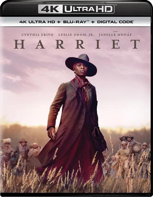 哈丽特 Harriet (2019) / 哈莉特:废奴之战(台) / 海芮(台) / 自由之火 / Freedom Fire / Harriet.2019.2160p.WEB-DL.x265.10bit.HDR.DTS-HD.MA.7.1