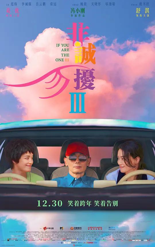 非诚勿扰3 (2023) / 征婚启事 / If You Are the One III / If.You.Are.the.One.III.2023.2160p.WEB-DL.H265.10bit.DDP5.1.Atmos