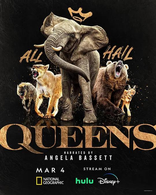 大自然的女王 Queens (2024) / クイーンズ：荘厳なる野生の王国 / Queens.S01.2024.2160p.HQ.WEB-DL.H265.AAC