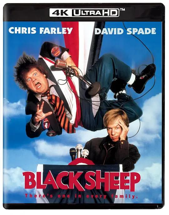 黑羊 Black Sheep (1996) / 冒牌大间谍 / 害群之马 / Black.Sheep.1996.2160p.UHD.Blu-ray.DoVi.HDR10.HEVC.DTS-HD.MA.5.1
