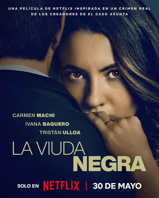 寡妇游戏 La viuda negra (2025) / A Widow's Game / A.Widows.Game.2025.2160p.NF.WEB-DL.DV.H.265.DDP5.1.Atmos