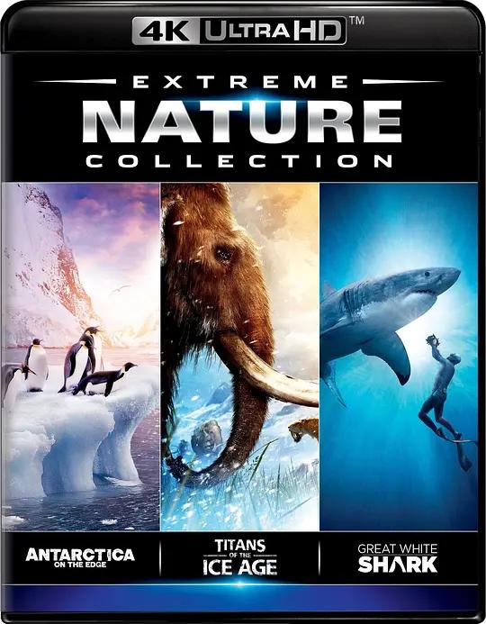 [4K蓝光原盘] [纪录片] 南极3D：在边缘 Antarctica 3D: On the Edge (2014) / Antarctica.On.the.Edge.2014.DOCU.2160p.BluRay.REMUX.HEVC.SDR.DTS-HD.MA.5.1