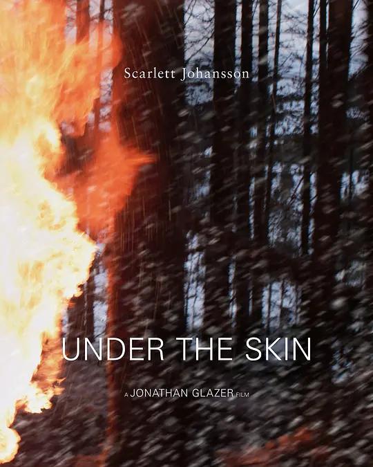 [4K电影] 皮囊之下 Under the Skin (2013) / 皮下之慌(港) / 肌肤之侵(台) / Under.the.Skin.2013.2160p.WEB-DL.x265.10bit.HDR.DTS-HD.MA.5.1
